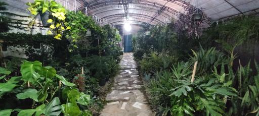 عکس گلخانه مرکزی گلدسته