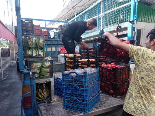 عکس بازار میوه و تره بار قائم