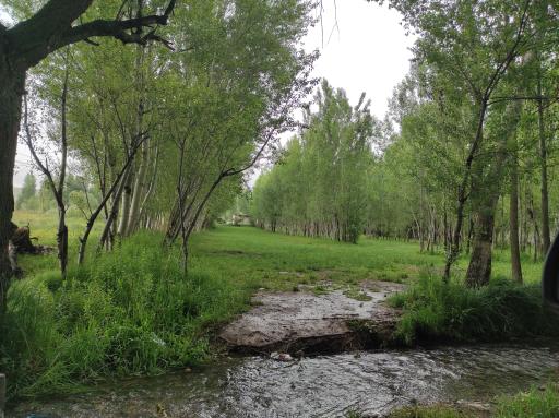 عکس مجموعه تفرجگاه بولاغلار نیر