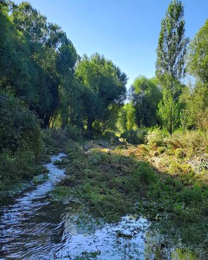 عکس مجموعه تفرجگاه بولاغلار نیر