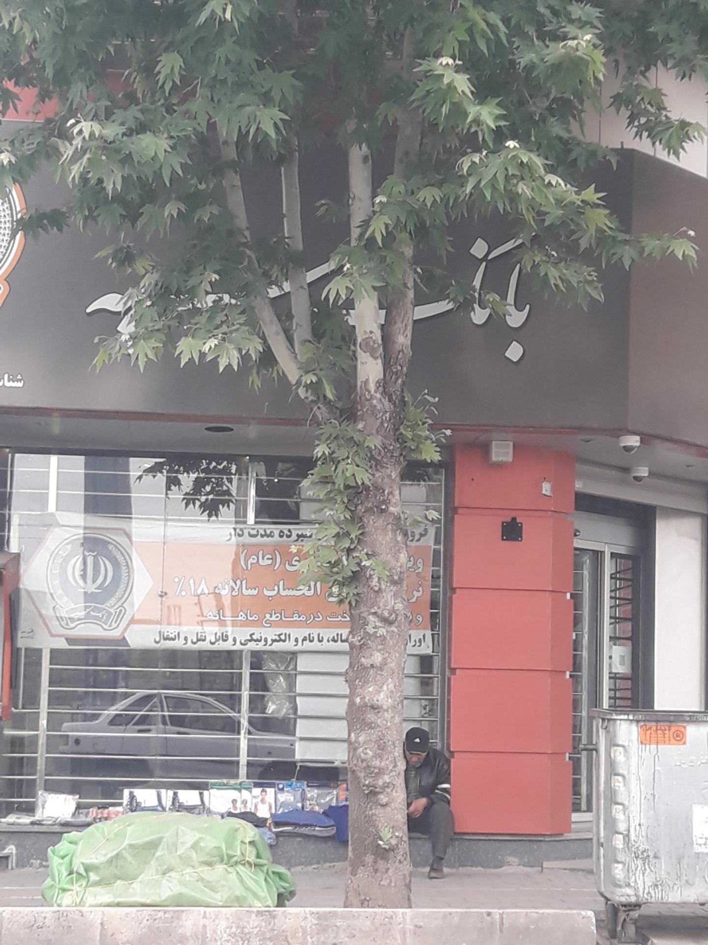 عکس بانک سپه شعبه شهرداری