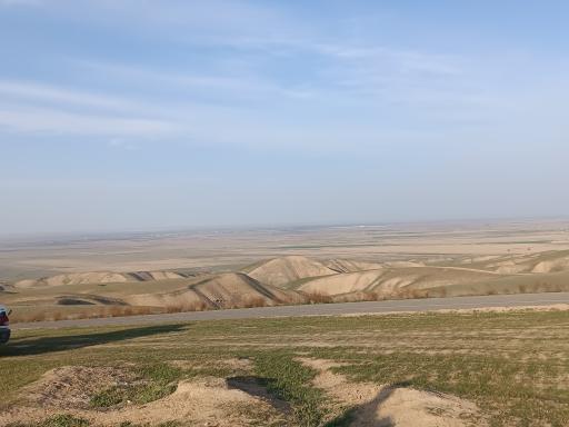 عکس کندر