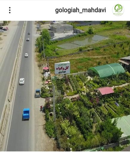 عکس گلخانه مهدوی