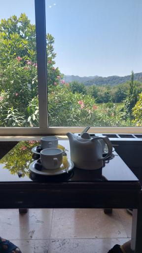 عکس کافی‌ شاپ هتل اسپیناس