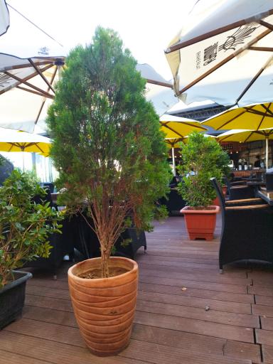 عکس مجتمع رستوران های تالار شهر