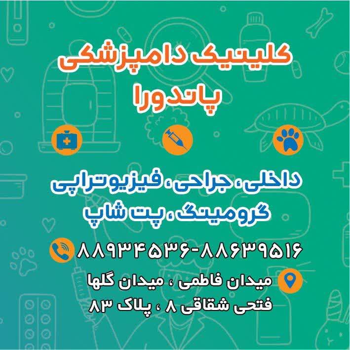 عکس کلینیک دامپزشکی پاندورا