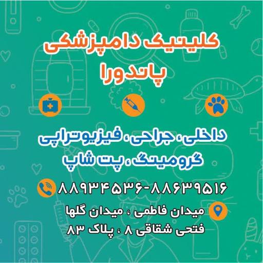 عکس کلینیک دامپزشکی پاندورا