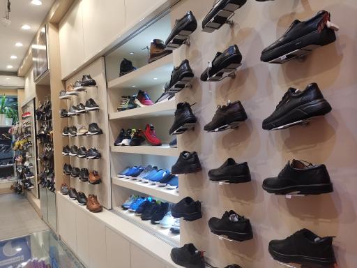 عکس کفش پاما