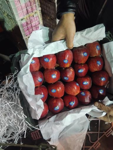 عکس حق العمل کاری حافظ کاظمی