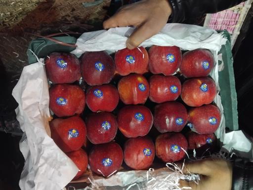 عکس حق العمل کاری حافظ کاظمی
