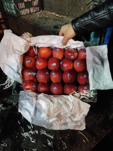 عکس حق العمل کاری حافظ کاظمی