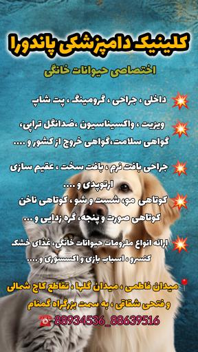 عکس کلینیک دامپزشکی پاندورا