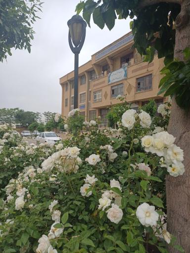 عکس اداره آموزش و پرورش ناحیه یک بهارستان