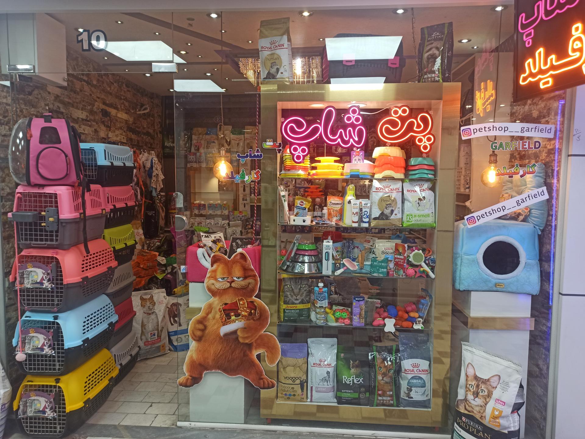 عکس پت شاپ گارفیلد