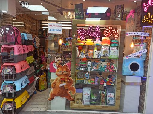 عکس پت شاپ گارفیلد