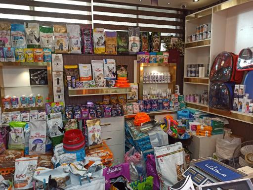 عکس پت شاپ گارفیلد