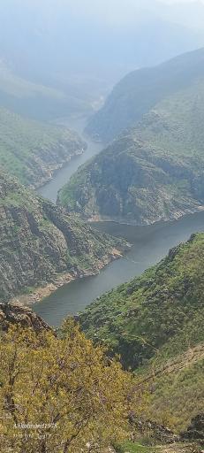 عکس اورامان تخت