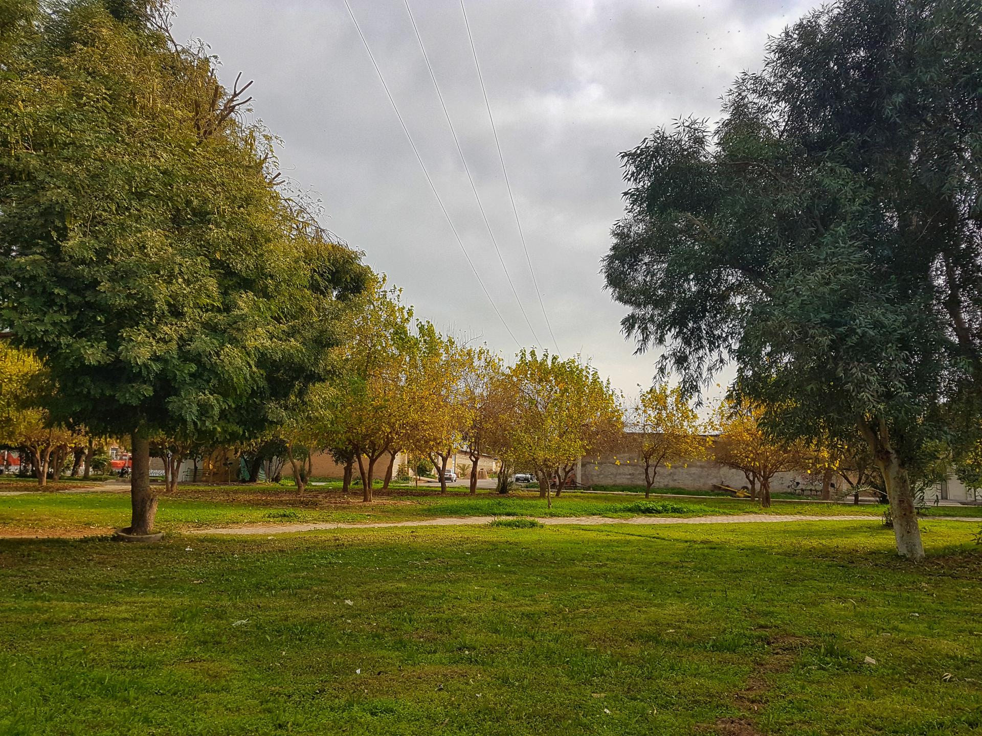 عکس پارک میانرود