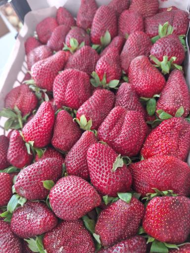 عکس سوپر میوه هلو