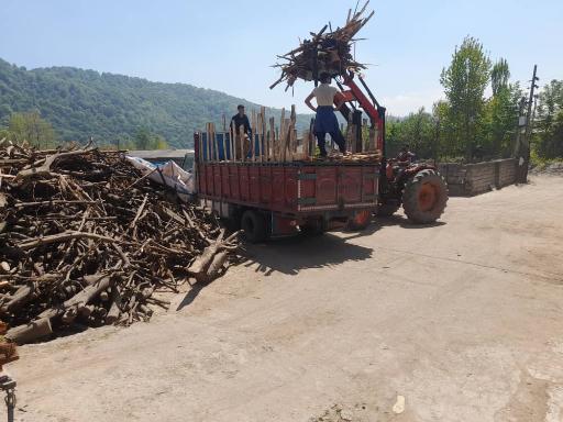 عکس خرید چوب طالبی 