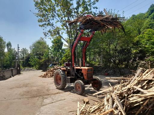 عکس خرید چوب طالبی 