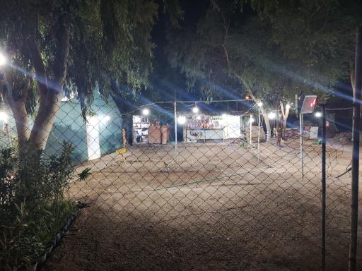 عکس گل فروشی