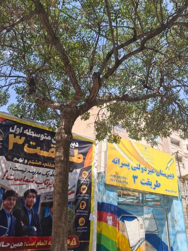 عکس مدرسه متوسطه اول طریقت۳