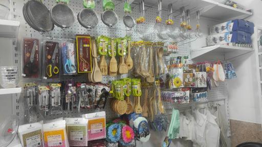 عکس سخندان پلاسکو