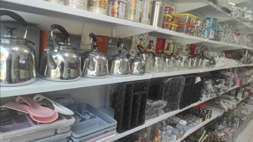 عکس سخندان پلاسکو