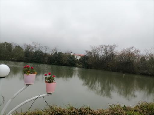 عکس برکه اوشیان 