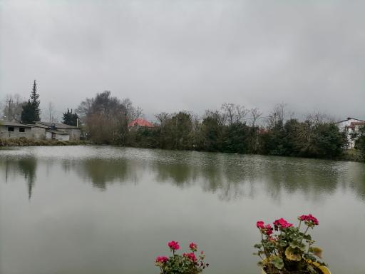 عکس برکه اوشیان 