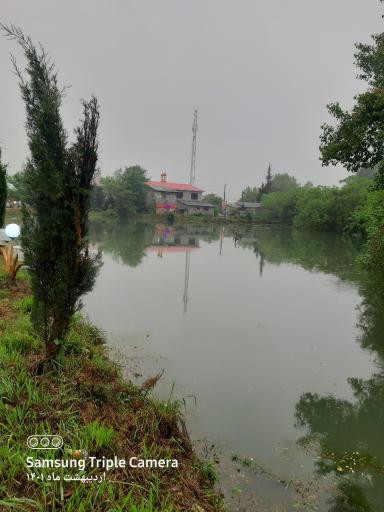 عکس برکه اوشیان 