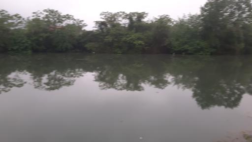 عکس برکه اوشیان 