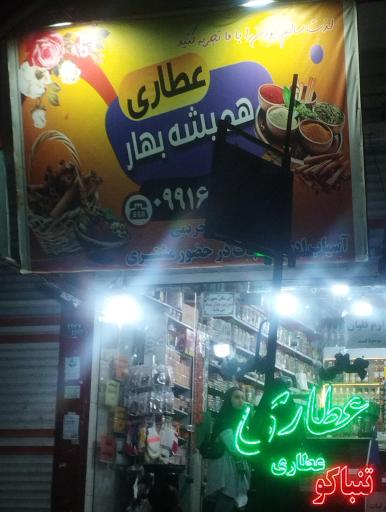 عکس عطاری همیشه بهار