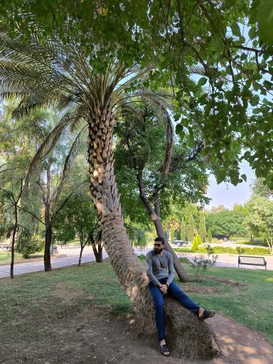 عکس بوستان آزادی