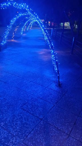 عکس بوستان آزادی