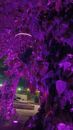 عکس بوستان آزادی