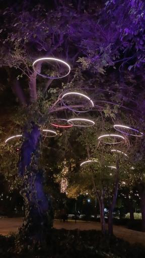 عکس بوستان آزادی