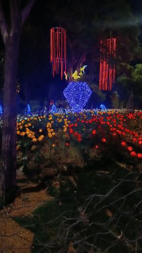 عکس بوستان آزادی