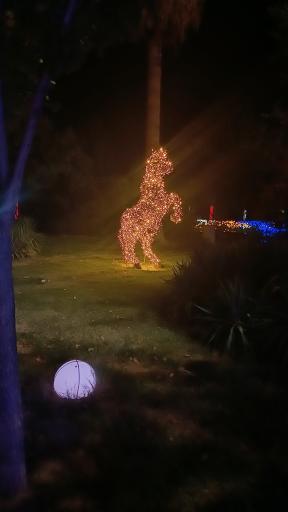 عکس بوستان آزادی