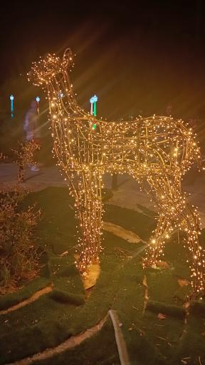 عکس بوستان آزادی