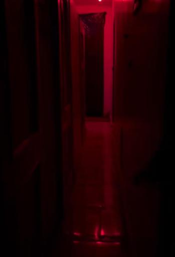 عکس اتاق فرار اسپیناس (عطر)