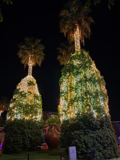 عکس بوستان آزادی