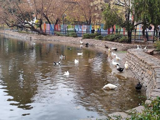 عکس بوستان آزادی