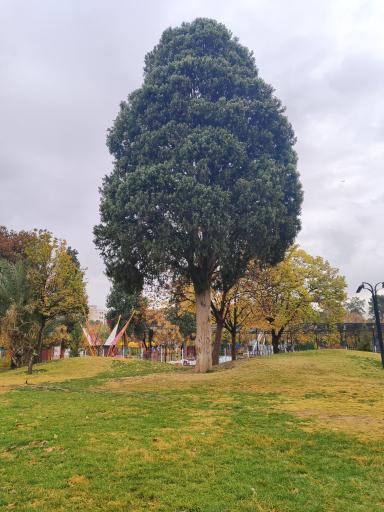 عکس بوستان آزادی