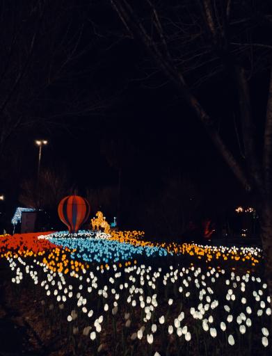 عکس بوستان آزادی