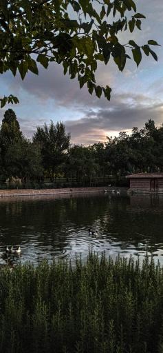 عکس بوستان آزادی