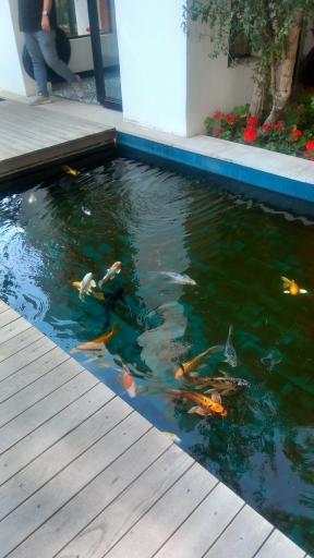 عکس باغ رستوران میثم خان