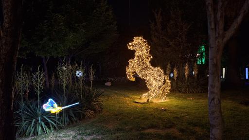 عکس بوستان آزادی