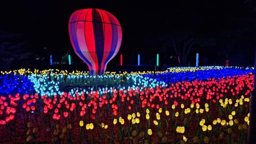 عکس بوستان آزادی